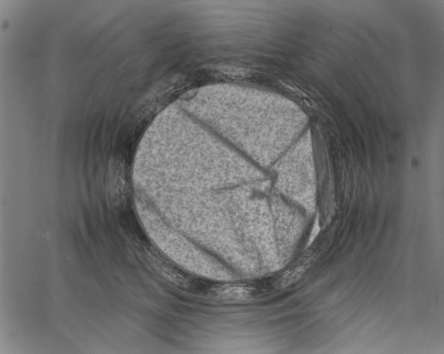 X0000062130518200601060901