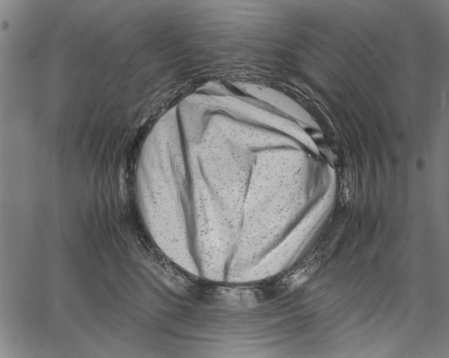 X0000062130520200601060901