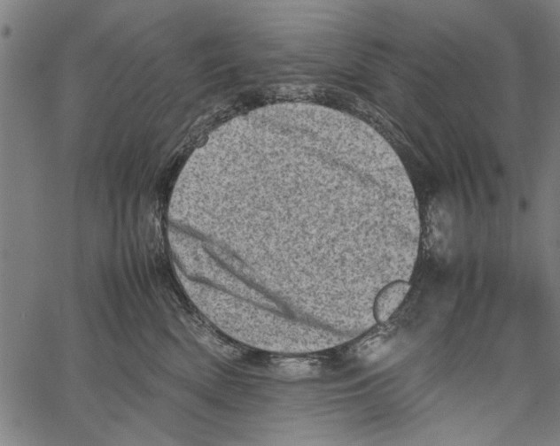 X0000062130522200601060901