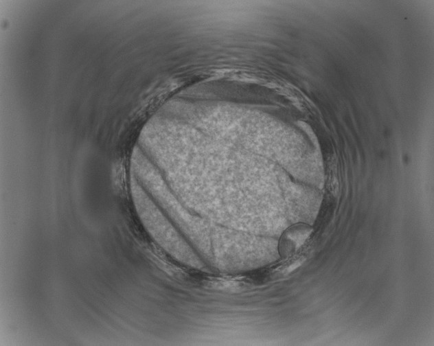 X0000062130523200601060900