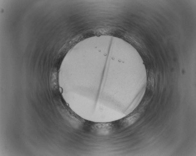 X0000062130526200601060900