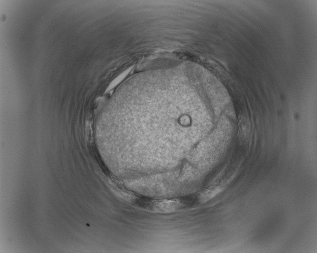 X0000062130527200601060900