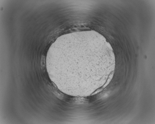 X0000062130528200601060900