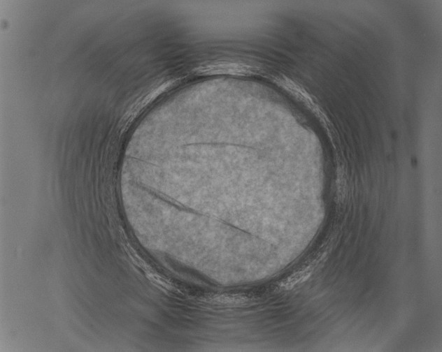 X0000062130529200601060900