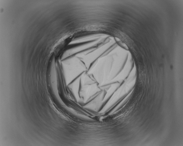 X0000062130530200601060900