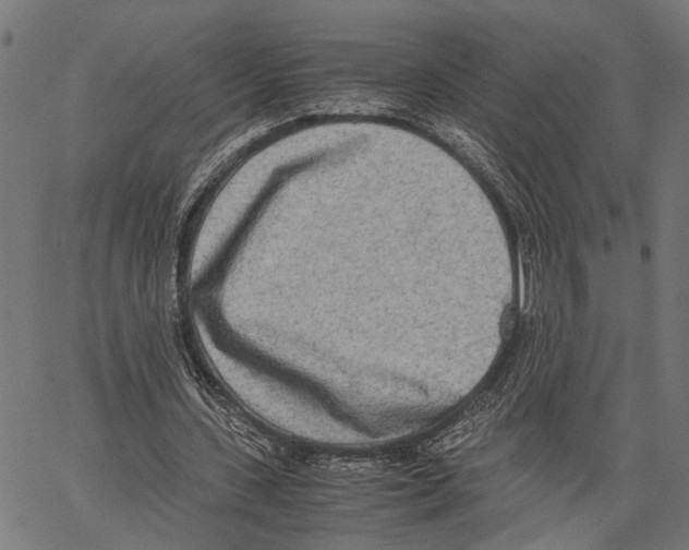 X0000062130531200601060900