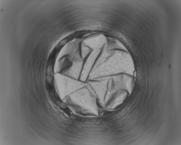 X0000062130532200601060900