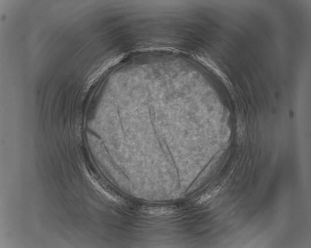 X0000062130533200601060900