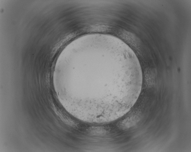 X0000062130534200601060900