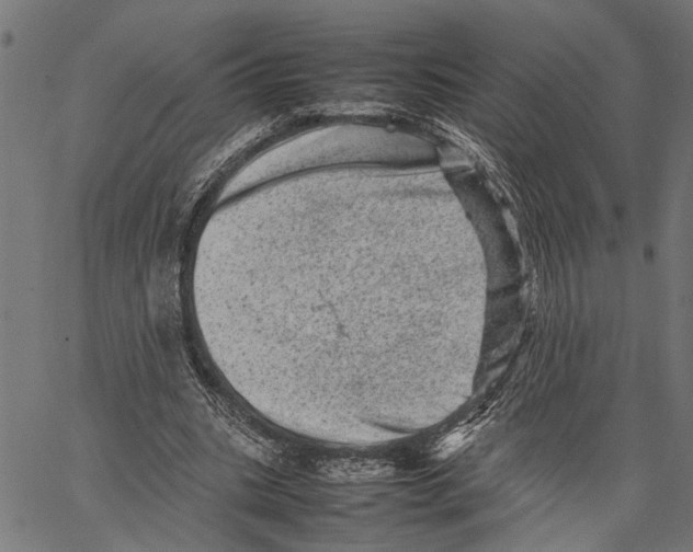 X0000062130535200601060900