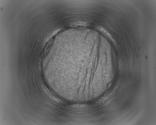 X0000062130537200601060900