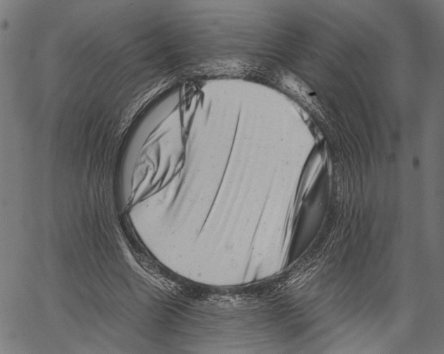 X0000062130538200601060900