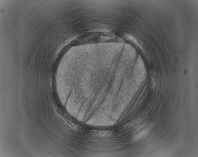 X0000062130539200601060900