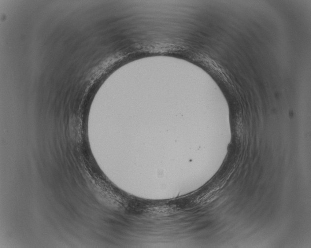 X0000062130540200601060900