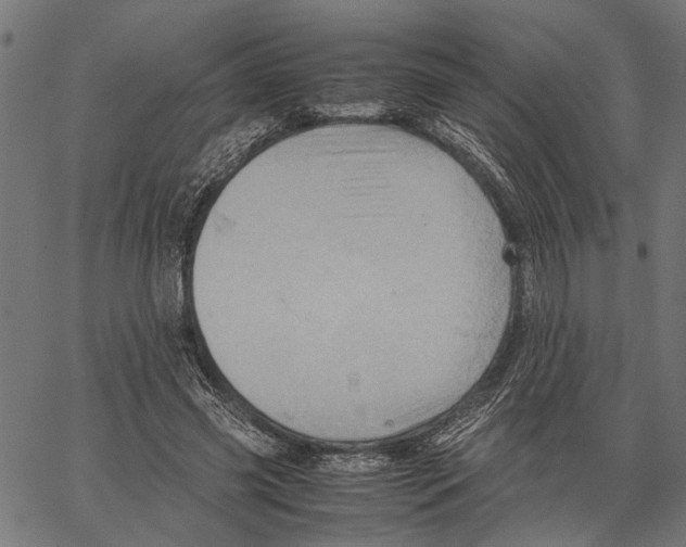 X0000062130541200601060900