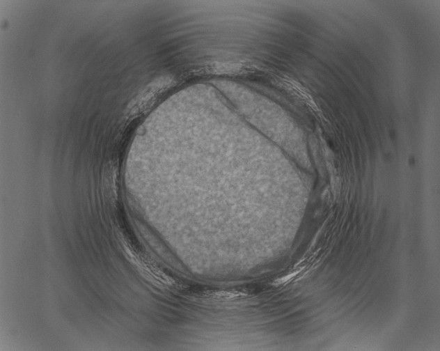 X0000062130542200601060900