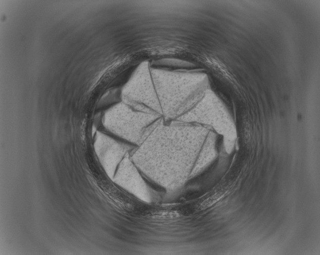 X0000062130543200601060900