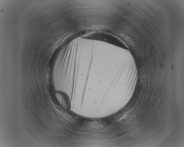 X0000062130544200601060900