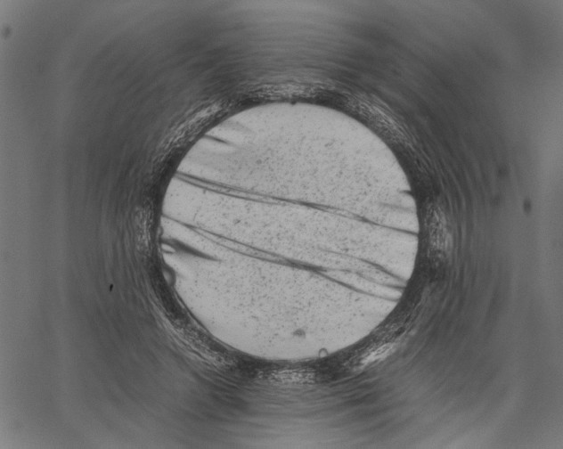 X0000062130546200601060900