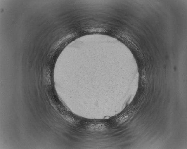 X0000062130547200601060900