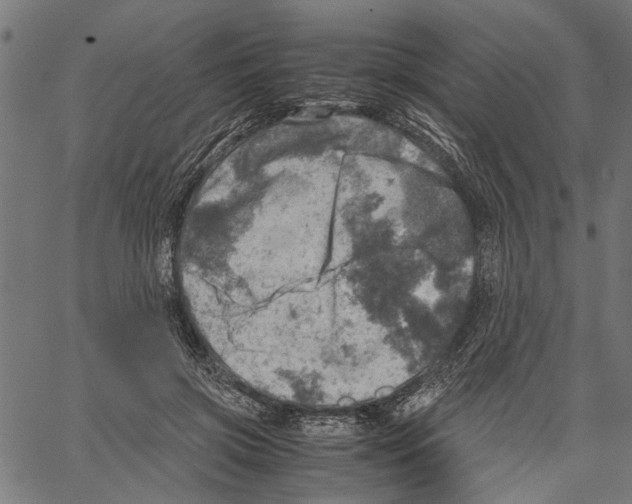 X0000062130549200601060900