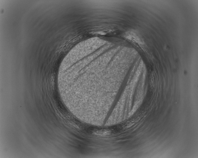 X0000062130551200601060900