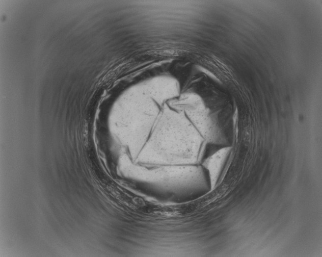 X0000062130552200601060900