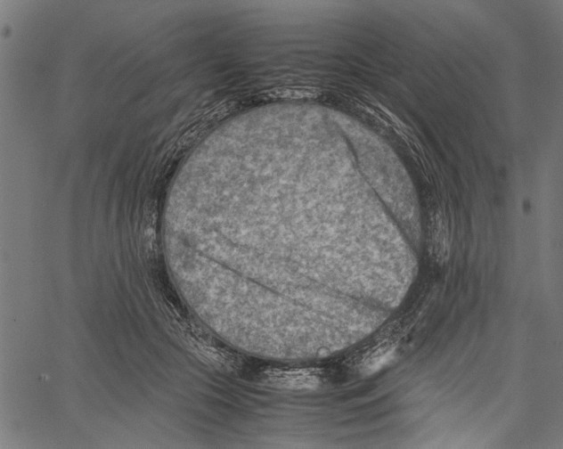 X0000062130553200601060900