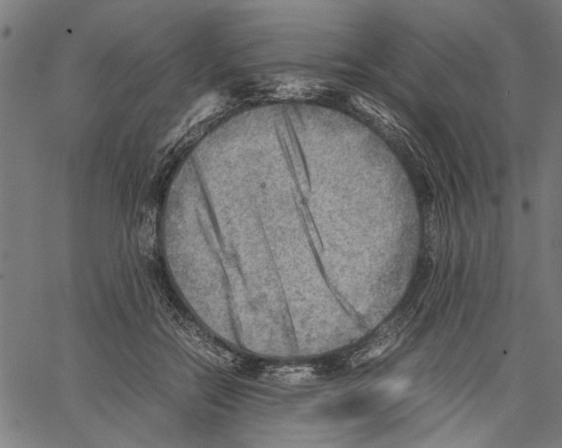 X0000062130554200601060900