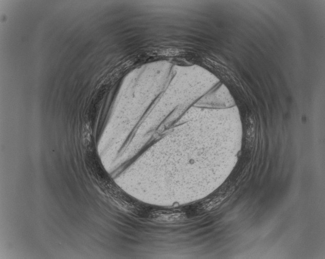 X0000062130555200601060900