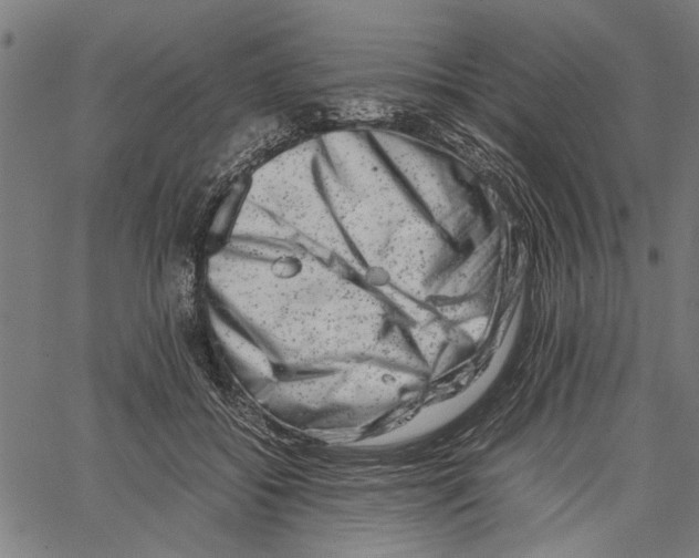 X0000062130556200601060900