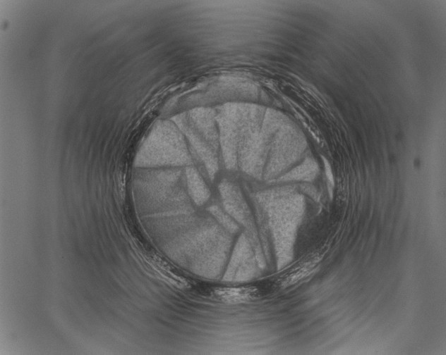 X0000062130558200601060900