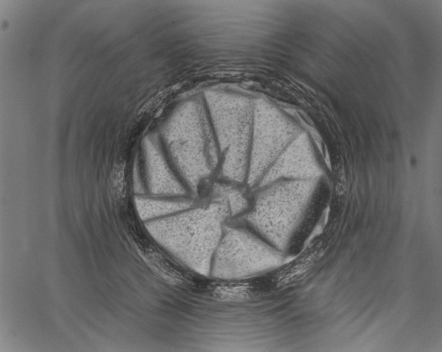 X0000062130560200601060900