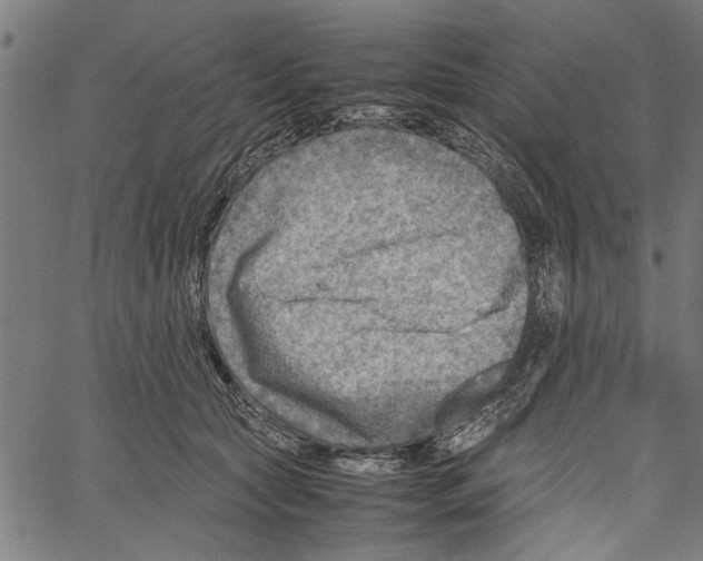 X0000062130561200601060900