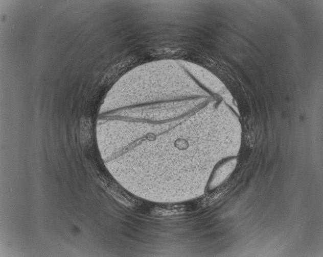 X0000062130563200601060900