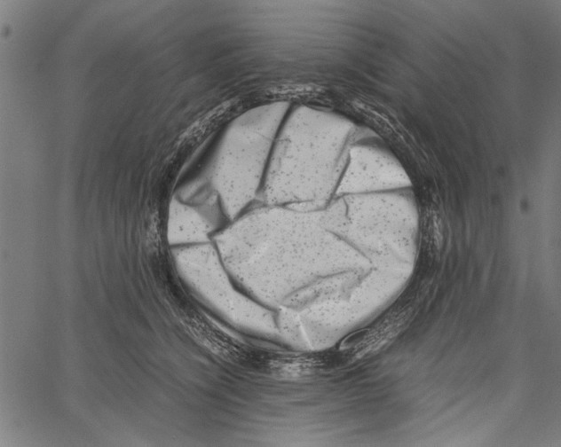 X0000062130564200601060900