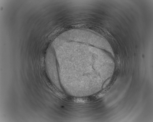 X0000062130565200601060900