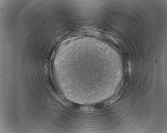 X0000062130568200601060900