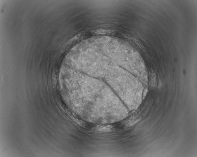 X0000062130569200601060900