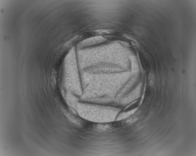 X0000062130570200601060900