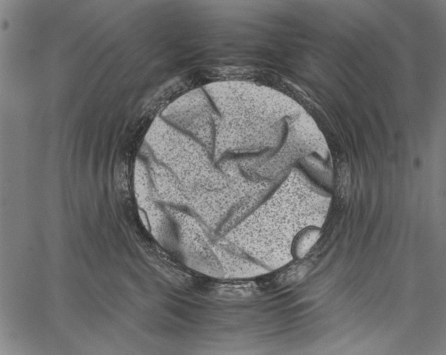 X0000062130571200601060900