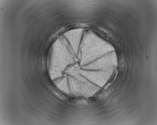 X0000062130572200601060900