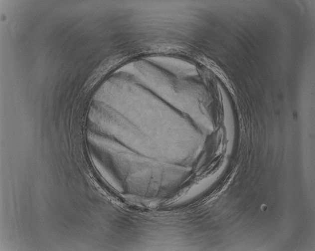 X0000062130577200601060900