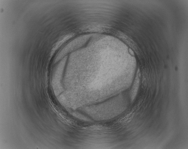 X0000062130578200601060900