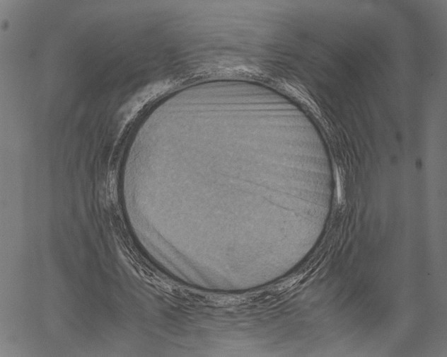 X0000062130579200601060900