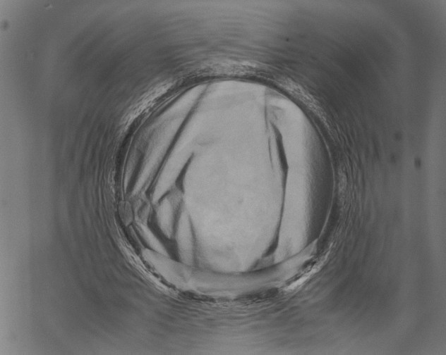 X0000062130581200601060900