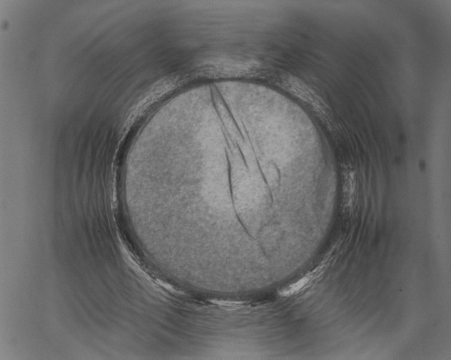 X0000062130582200601060900