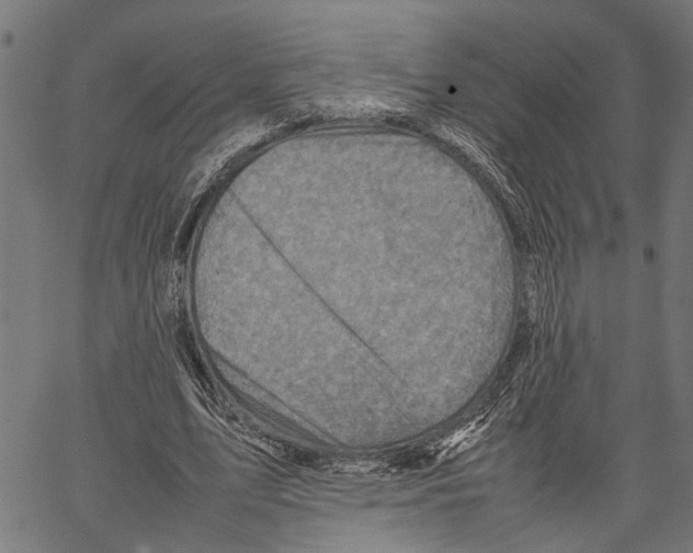 X0000062130583200601060900