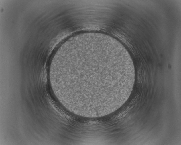 X0000062130584200601060859