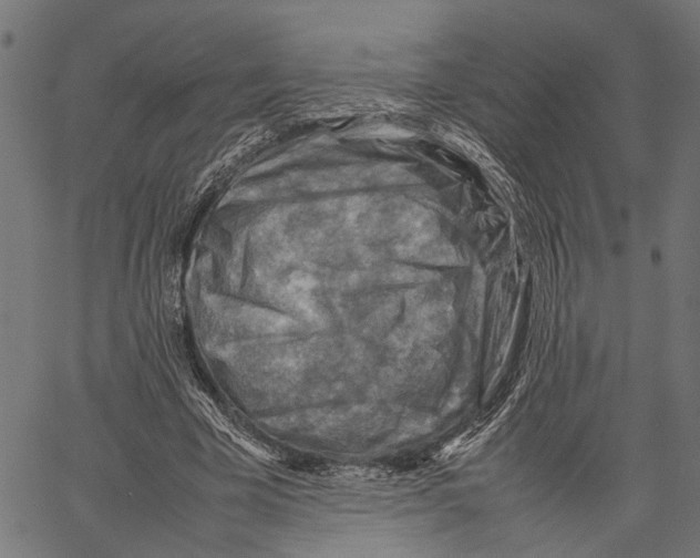 X0000062130585200601060859